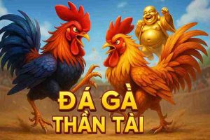 Đá Gà Thần Tài KUPLAY - Trò Chơi Giải Trí Đầy Kịch Tính